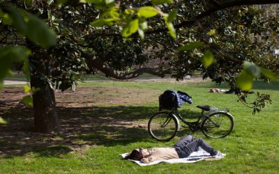 Salariés au Forfait Jours… et jours de repos