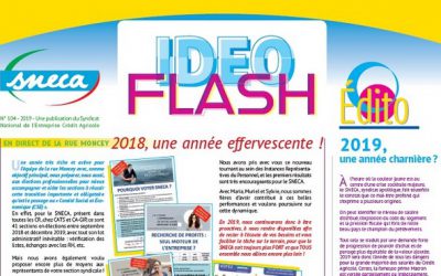 Idéoflash du SNECA