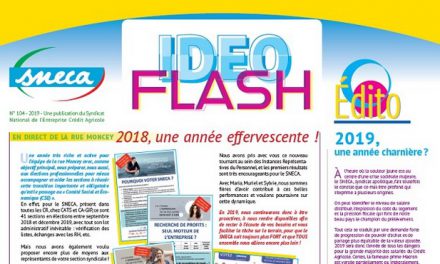 Idéoflash du SNECA